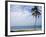 Palm Tree by Bay, Florida Keys, Florida-Terry Eggers-Framed Photographic Print