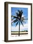 Palm Tree by South Beach-Raul Rosa-Framed Photographic Print