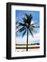 Palm Tree by South Beach-Raul Rosa-Framed Photographic Print