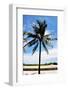 Palm Tree by South Beach-Raul Rosa-Framed Photographic Print