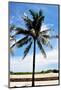 Palm Tree by South Beach-Raul Rosa-Mounted Photographic Print