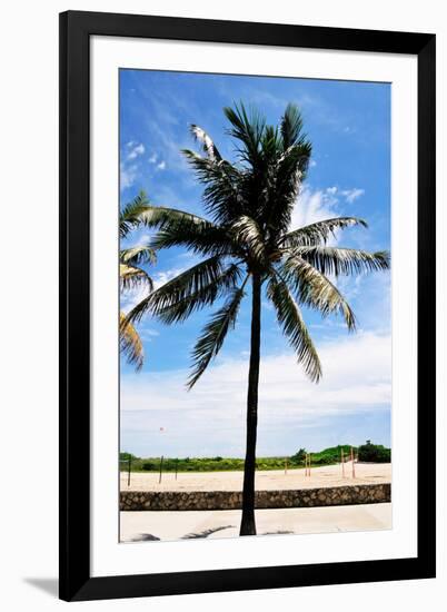 Palm Tree by South Beach-Raul Rosa-Framed Photographic Print