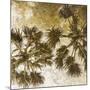 Palm Tree Gold 2-Kimberly Allen-Mounted Art Print
