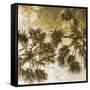 Palm Tree Gold 2-Kimberly Allen-Framed Stretched Canvas