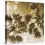 Palm Tree Gold 2-Kimberly Allen-Stretched Canvas