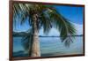 Palm Tree Hanging over the Clear Waters around Nanuya Lailai Island, Blue Lagoon, Yasawa, Fiji-Michael Runkel-Framed Photographic Print