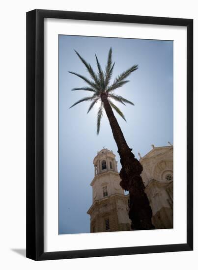 Palm Tree in Cadiz-Felipe Rodriguez-Framed Photographic Print