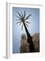 Palm Tree in Cadiz-Felipe Rodriguez-Framed Photographic Print