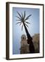 Palm Tree in Cadiz-Felipe Rodriguez-Framed Photographic Print