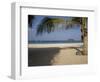 Palm Tree in Front, Kata Beach, Phuket, Thailand, Southeast Asia-Joern Simensen-Framed Photographic Print