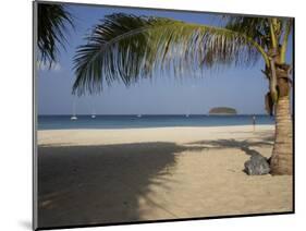 Palm Tree in Front, Kata Beach, Phuket, Thailand, Southeast Asia-Joern Simensen-Mounted Photographic Print