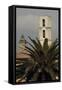 Palm Tree in Front of a Bell Tower-null-Framed Stretched Canvas