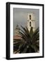 Palm Tree in Front of a Bell Tower-null-Framed Photographic Print