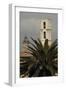 Palm Tree in Front of a Bell Tower-null-Framed Photographic Print