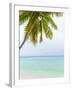 Palm Tree in the Maldives-John Harper-Framed Photographic Print