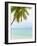 Palm Tree in the Maldives-John Harper-Framed Photographic Print