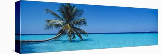 Palm Tree in the Sea, Maldives-null-Stretched Canvas