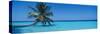 Palm Tree in the Sea, Maldives-null-Stretched Canvas