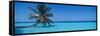 Palm Tree in the Sea, Maldives-null-Framed Stretched Canvas