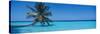 Palm Tree in the Sea, Maldives-null-Stretched Canvas