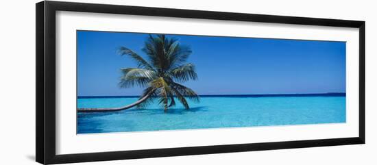 Palm Tree in the Sea, Maldives-null-Framed Photographic Print