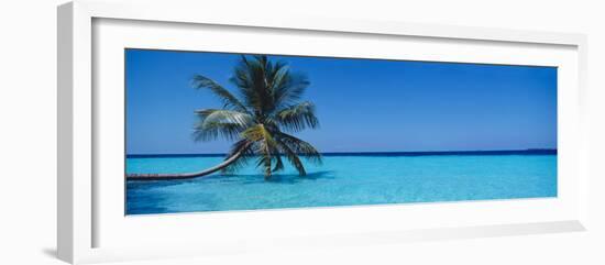 Palm Tree in the Sea, Maldives-null-Framed Photographic Print