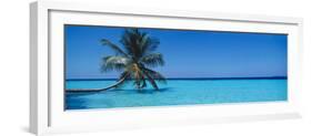 Palm Tree in the Sea, Maldives-null-Framed Photographic Print