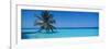 Palm Tree in the Sea, Maldives-null-Framed Photographic Print