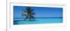 Palm Tree in the Sea, Maldives-null-Framed Photographic Print