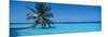 Palm Tree in the Sea, Maldives-null-Mounted Photographic Print