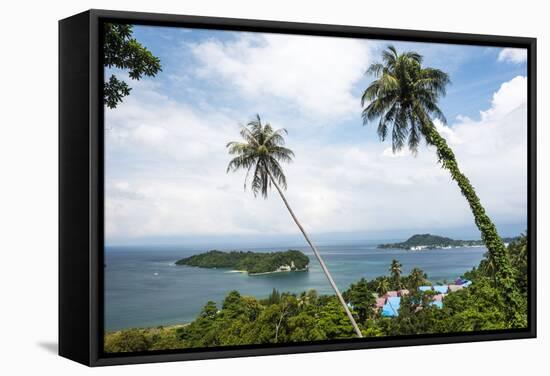 Palm Tree Landscape Near Iboih, Pulau Weh Island, Aceh Province, Sumatra, Indonesia, Southeast Asia-Matthew Williams-Ellis-Framed Stretched Canvas