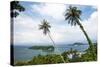 Palm Tree Landscape Near Iboih, Pulau Weh Island, Aceh Province, Sumatra, Indonesia, Southeast Asia-Matthew Williams-Ellis-Stretched Canvas