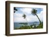 Palm Tree Landscape Near Iboih, Pulau Weh Island, Aceh Province, Sumatra, Indonesia, Southeast Asia-Matthew Williams-Ellis-Framed Photographic Print