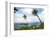 Palm Tree Landscape Near Iboih, Pulau Weh Island, Aceh Province, Sumatra, Indonesia, Southeast Asia-Matthew Williams-Ellis-Framed Photographic Print