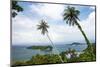 Palm Tree Landscape Near Iboih, Pulau Weh Island, Aceh Province, Sumatra, Indonesia, Southeast Asia-Matthew Williams-Ellis-Mounted Photographic Print