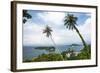 Palm Tree Landscape Near Iboih, Pulau Weh Island, Aceh Province, Sumatra, Indonesia, Southeast Asia-Matthew Williams-Ellis-Framed Photographic Print