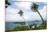 Palm Tree Landscape Near Iboih, Pulau Weh Island, Aceh Province, Sumatra, Indonesia, Southeast Asia-Matthew Williams-Ellis-Mounted Photographic Print