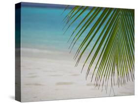 Palm Tree Leaf and Tropical Beach, Maldives, Indian Ocean-Papadopoulos Sakis-Stretched Canvas