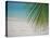 Palm Tree Leaf and Tropical Beach, Maldives, Indian Ocean-Papadopoulos Sakis-Stretched Canvas