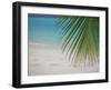 Palm Tree Leaf and Tropical Beach, Maldives, Indian Ocean-Papadopoulos Sakis-Framed Photographic Print