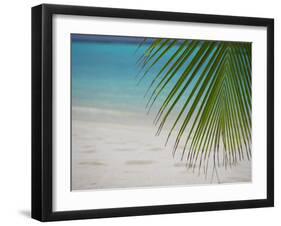 Palm Tree Leaf and Tropical Beach, Maldives, Indian Ocean-Papadopoulos Sakis-Framed Photographic Print