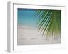 Palm Tree Leaf and Tropical Beach, Maldives, Indian Ocean-Papadopoulos Sakis-Framed Photographic Print