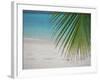 Palm Tree Leaf and Tropical Beach, Maldives, Indian Ocean-Papadopoulos Sakis-Framed Photographic Print