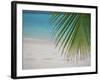 Palm Tree Leaf and Tropical Beach, Maldives, Indian Ocean-Papadopoulos Sakis-Framed Photographic Print