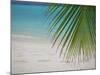 Palm Tree Leaf and Tropical Beach, Maldives, Indian Ocean-Papadopoulos Sakis-Mounted Photographic Print