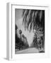 Palm Tree-Lined Street in Beverly Hills-Alfred Eisenstaedt-Framed Photographic Print