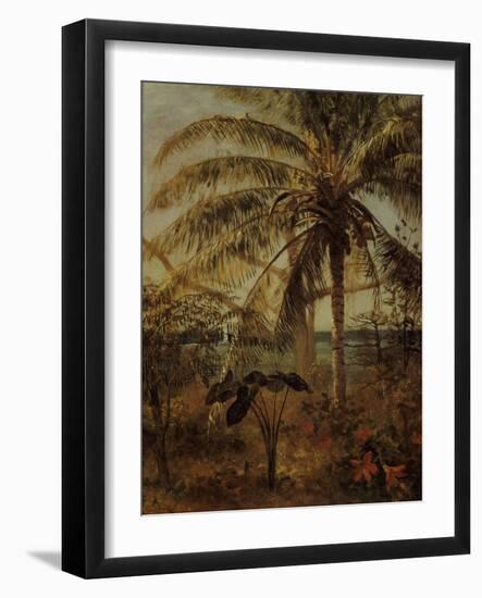 Palm Tree, Nassau, 1892-Albert Bierstadt-Framed Giclee Print