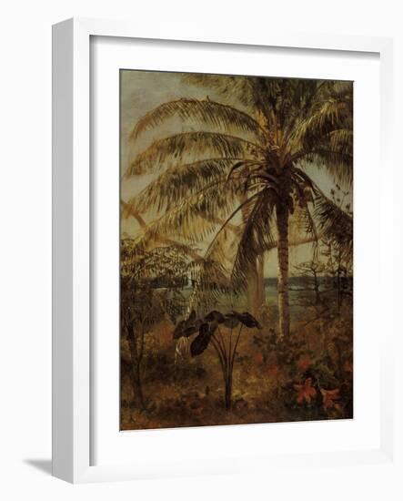 Palm Tree, Nassau, 1892-Albert Bierstadt-Framed Giclee Print