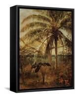 Palm Tree, Nassau, 1892-Albert Bierstadt-Framed Stretched Canvas
