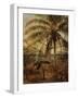 Palm Tree, Nassau, 1892-Albert Bierstadt-Framed Giclee Print